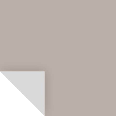 Samplize Samplize Benjamin Moore Silver Fox Peel & Stick Color Sample 2108-50 BM210850